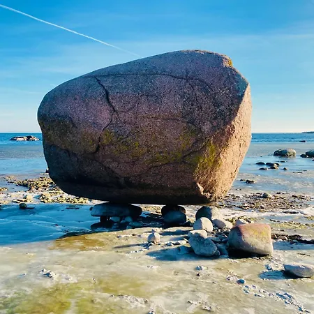 Kliff Butiik Majutus & Restoran * Panga