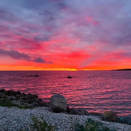 Kliff Butiik Majutus & Restoran * Panga