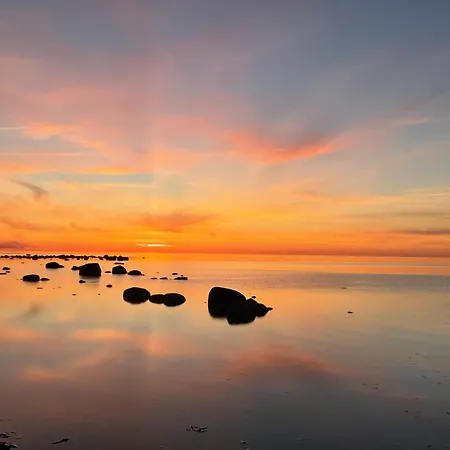 Kliff Butiik Majutus & Restoran