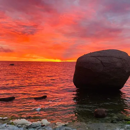 Kliff Butiik Majutus & Restoran Hotel Panga